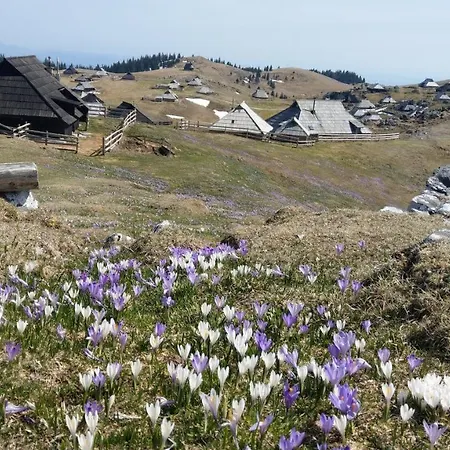 Pehta Velika Planina