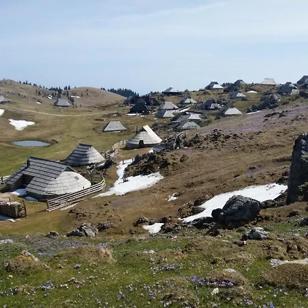 Pehta Velika Planina Stahovica