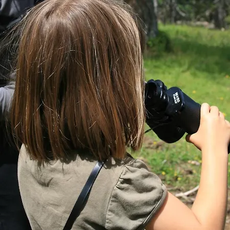 Pehta Velika Planina *