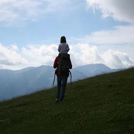 Pehta Velika Planina בקתה