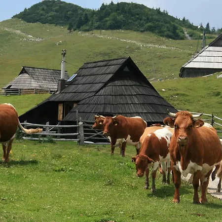 Chalet Pehta Velika Planina *