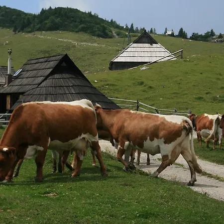 Pehta Velika Planina Stahovica