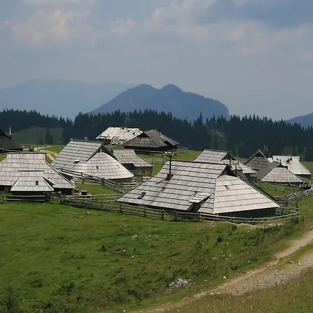 Pehta Velika Planina