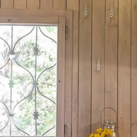 샬레 Pehta Velika Planina