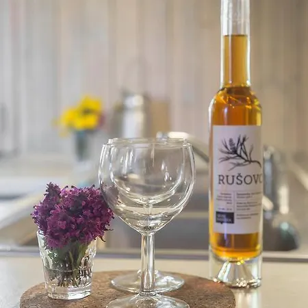 Pehta Velika Planina 샬레 *