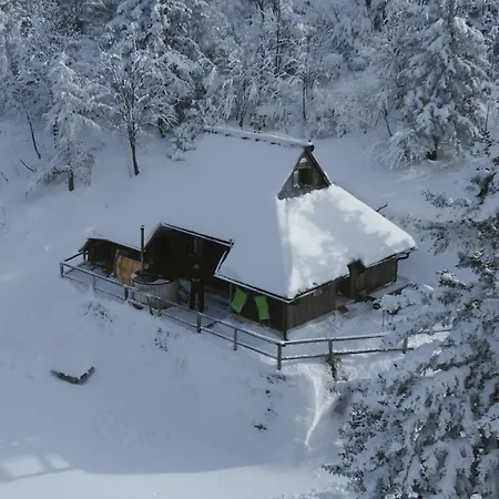 Pehta Velika Planina Stahovica