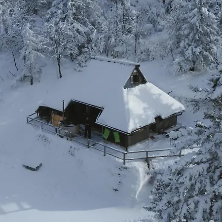 Pehta Velika Planina Stahovica
