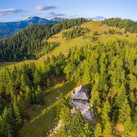 Pehta Velika Planina