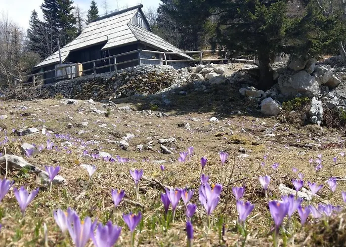 Σαλέ Pehta Velika Planina