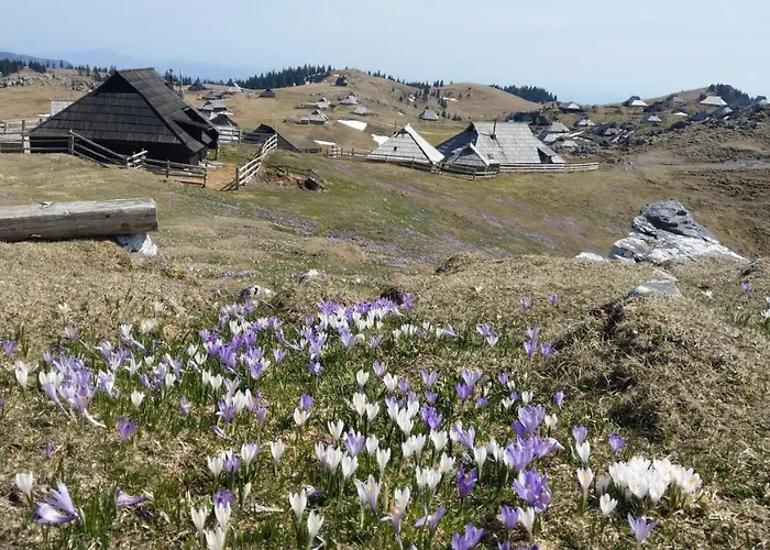 Pehta Velika Planina