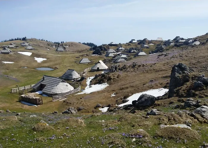 Pehta Velika Planina Stahovica