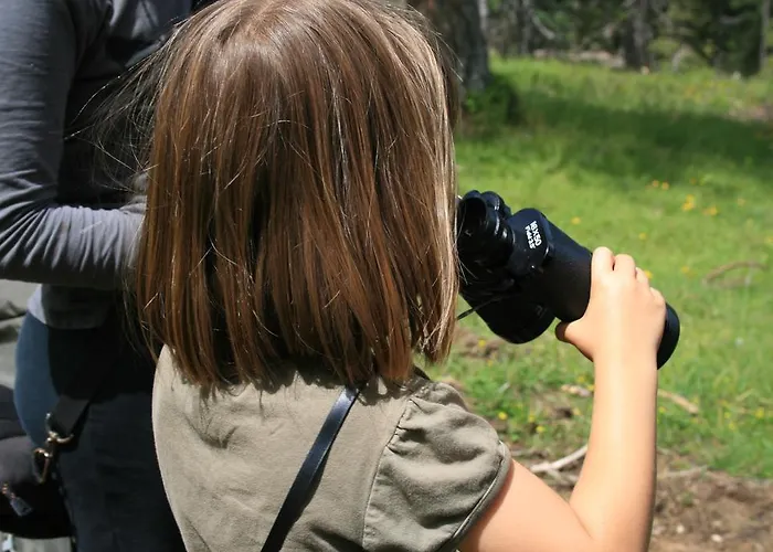 Pehta Velika Planina *