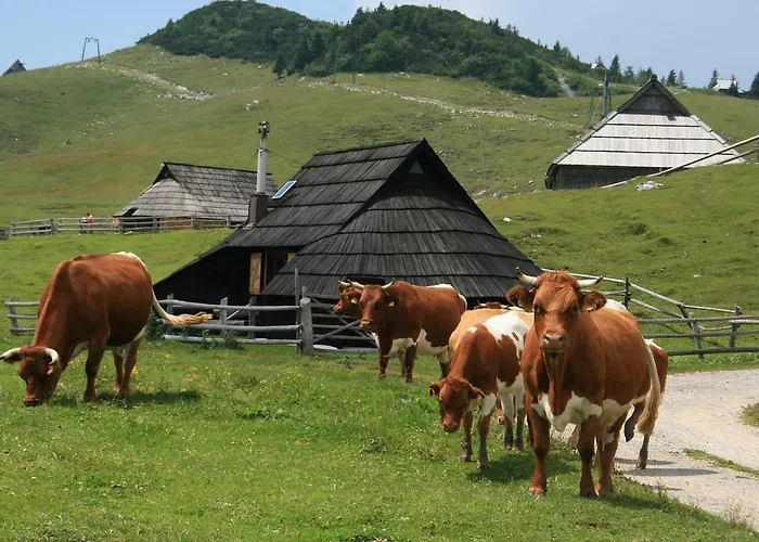 Σαλέ Pehta Velika Planina *