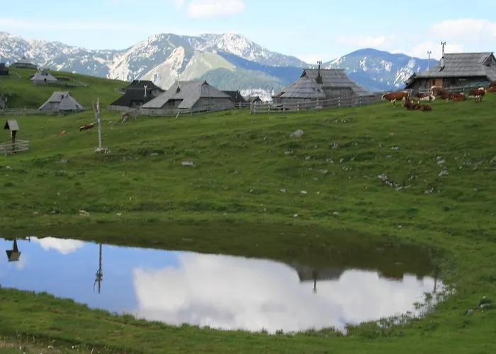 Pehta Velika Planina Σαλέ *