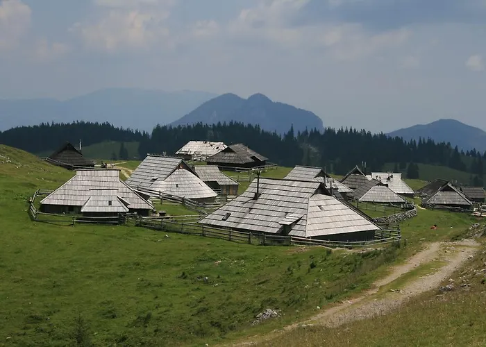 Pehta Velika Planina