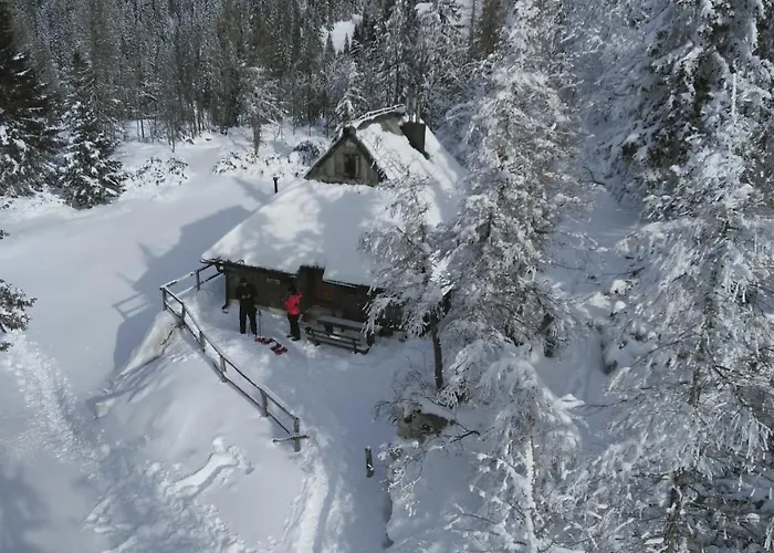 Pehta Velika Planina Σαλέ Stahovica