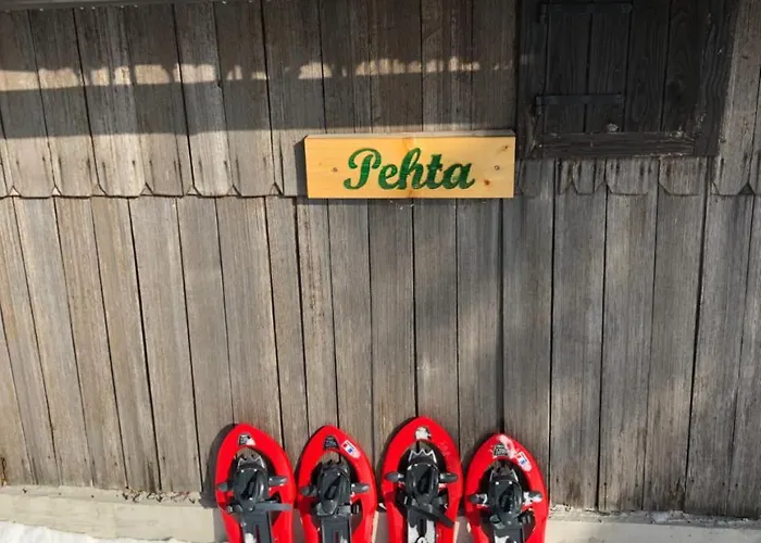 Pehta Velika Planina