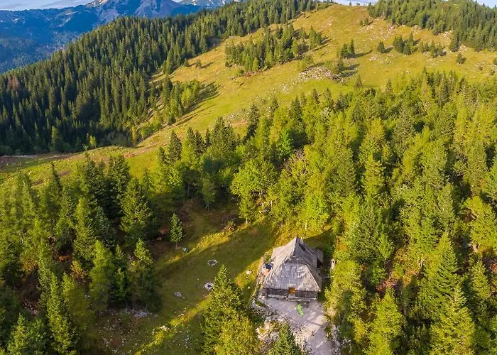 Pehta Velika Planina